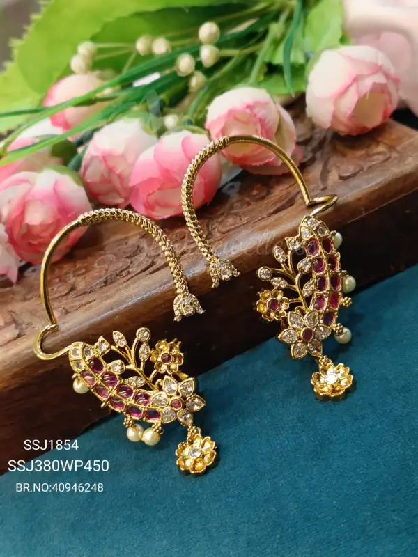 Earrcuffs 1854*
