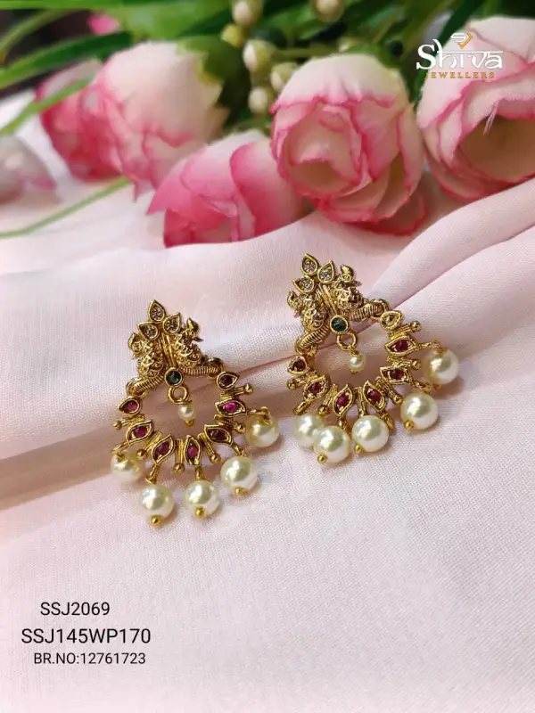 Earrings 2069*